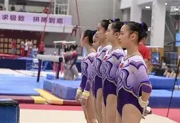 九游网站登录 - 体操季后赛，荆楚铁骑队与关东海豚队大胜，阵地战处理得当！临场应变见真章